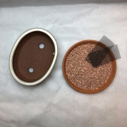 Bonsai-skl, str. 0, glaseret, oval, creme