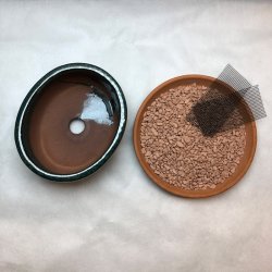 Bonsai-skl, str. 0, glaseret, oval, mrkegrn