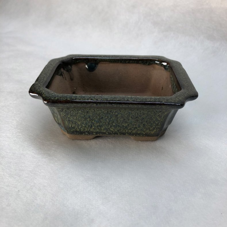Bonsai-skl, str. 0, glaseret, rektangel med kant, grnmeleret