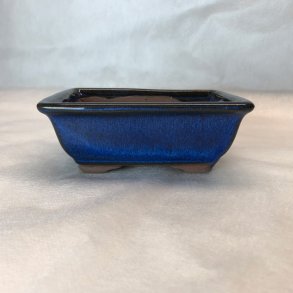 Bonsai-skl, str. 0, glaseret, rektangulr med kant, bl