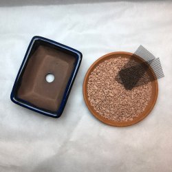 Bonsai-skl, str. 0, glaseret, rektangulr med kant, bl