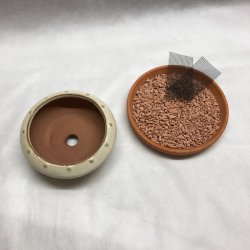 Bonsai-sk�l, str. 0, glaseret, rund, creme