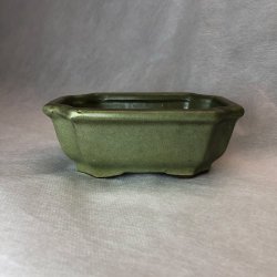 Bonsai-skl, str. 0, glaseret, rektangulr, matoliven