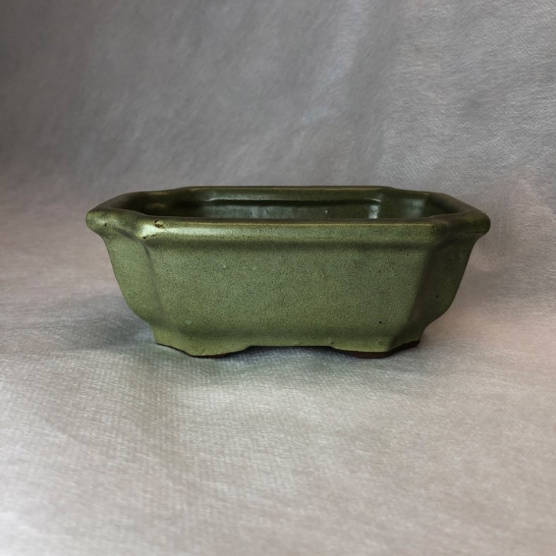 Bonsai-sk�l, str. 0, glaseret, rektangul�r, matoliven