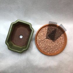 Bonsai-skl, str. 0, glaseret, rektangulr, matoliven