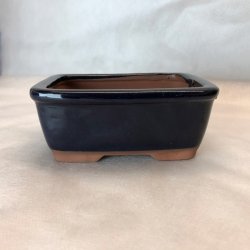 Bonsai-sk�l, str. 0, glaseret, rektangul�r, m�rkebl�