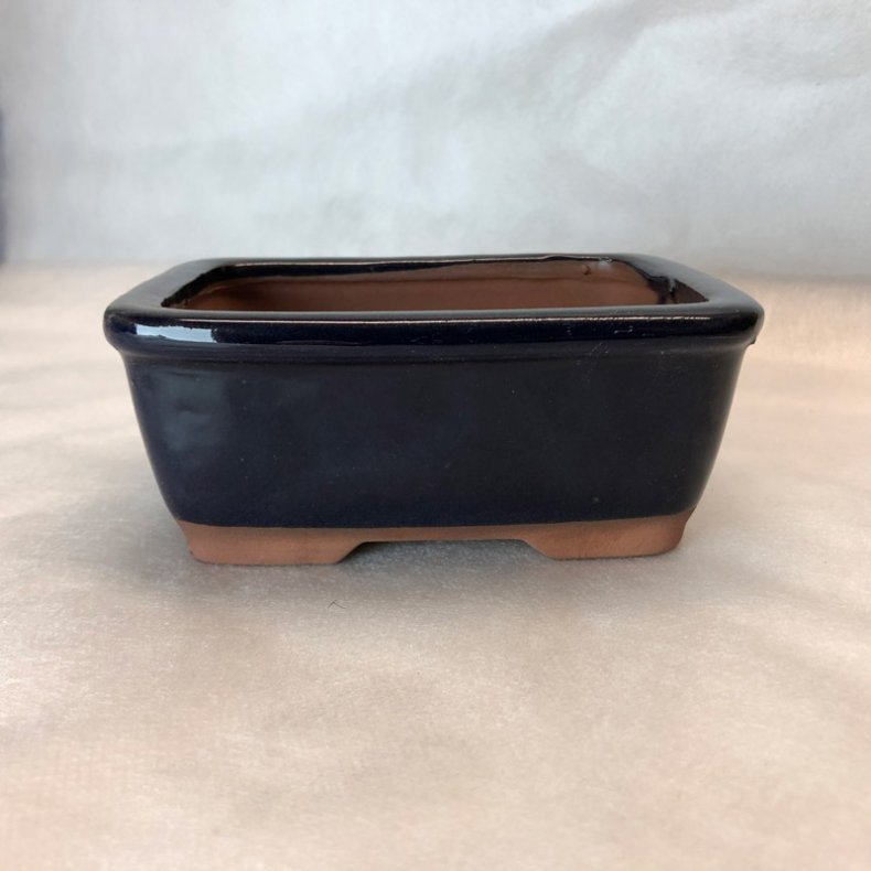 Bonsai-sk�l, str. 0, glaseret, rektangul�r, m�rkebl�