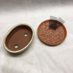 Bonsai-sk�l, str. 1, glaseret, oval, creme