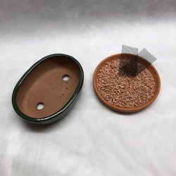 Bonsai-skl, str. 1, glaseret, oval, mrkegrn