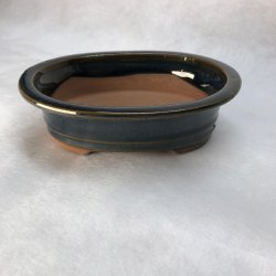 Bonsai-skl, str. 1, glaseret, oval med kant, mrkebl
