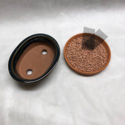 Bonsai-skl, str. 1, glaseret, oval med kant, mrkebl