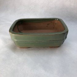 Bonsai-skl, str. 1, glaseret, rektangulr, grn