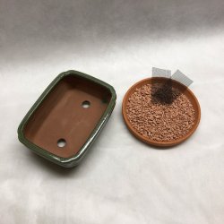 Bonsai-sk�l, str. 1, glaseret, rektangul�r, gr�n