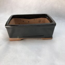 Bonsai-skl, str. 1, glaseret, rektangulr, sort