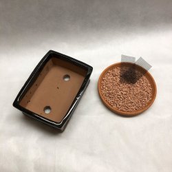 Bonsai-skl, str. 1, glaseret, rektangulr, sort