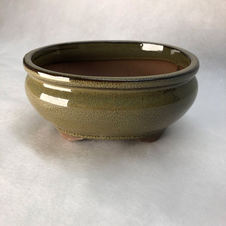 Bonsai-skl, str. 1, glaseret, rund oval, oliven