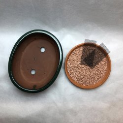 Bonsai-skl, str. 2, glaseret, oval, mrkegrn