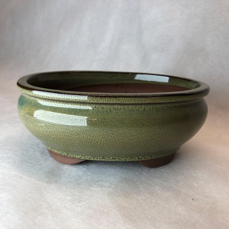 Bonsai-skl, str. 2, glaseret, rund oval, oliven