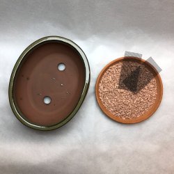 Bonsai-skl, str. 2, glaseret, rund oval, oliven