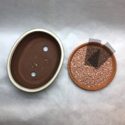 Bonsai-skl, str. 2, glaseret, oval, creme