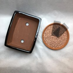 Bonsai-sk�l, str. 2, glaseret, rektangul�r, sort