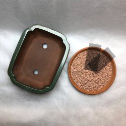 Bonsai-sk�l, str. 2, glaseret, rektangul�r med kant, gr�n