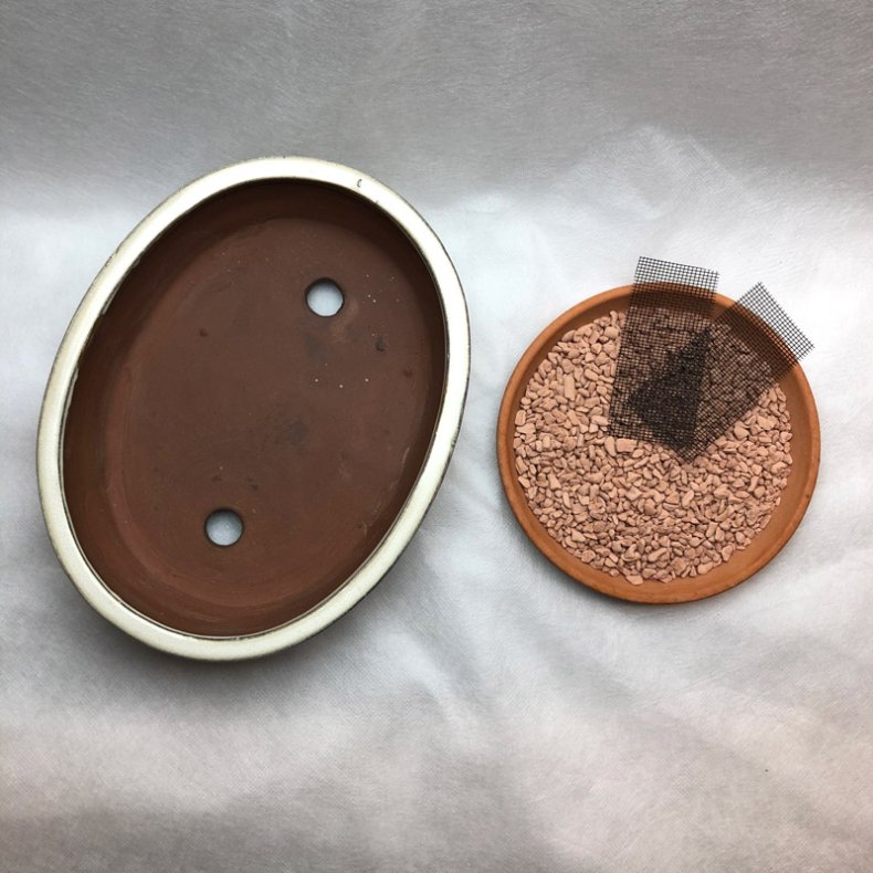 Bonsai-skl, str. 3, glaseret, oval, creme