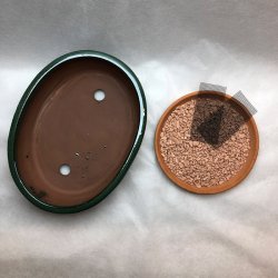 Bonsai-skl, str. 3, glaseret, oval, mrkegrn