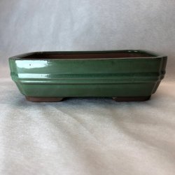 Bonsai-sk�l, str. 3, glaseret, rektangul�r, gr�n