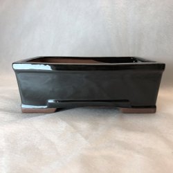 Bonsai-sk�l, str. 3, glaseret, rektangul�r, sort