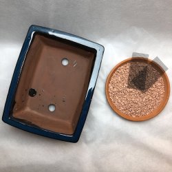 Bonsai-sk�l, str. 3, glaseret, rektangul�r, m�rkebl�