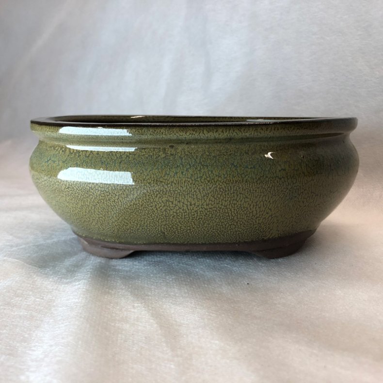 Bonsai-skl, str. 3, glaseret, rund oval, oliven