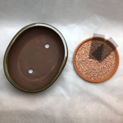 Bonsai-skl, str. 3, glaseret, rund oval, oliven