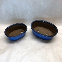 Bonsai-skle, JAP-2ST, glaseret, ovale, kongebl