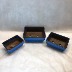 Bonsai-skle, JAP-3ST, glaseret, rektangulr, kongebl