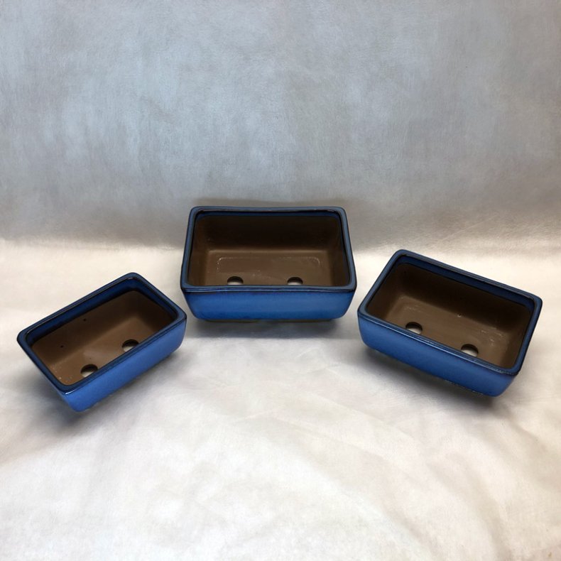 Bonsai-sk�le, JAP-3S�T, glaseret, rektangul�r, kongebl�