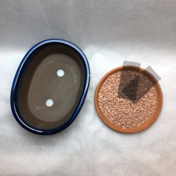 Bonsai-skle, JAP-2ST, glaseret, ovale, kongebl