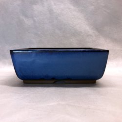 Bonsai-skle, JAP-3ST, glaseret, rektangulr, kongebl