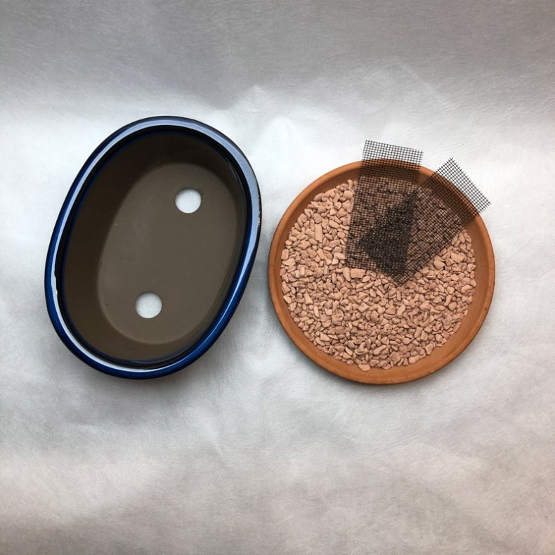 Bonsai-skle, JAP-2ST, glaseret, ovale, kongebl