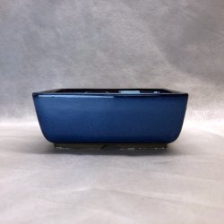 Bonsai-skle, JAP-3ST, glaseret, rektangulr, kongebl