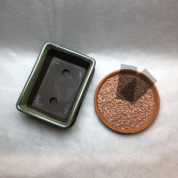 Bonsai-skl, JAP-M, glaseret, rektangulr med kant, flaskegrn