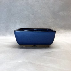 Bonsai-skle, JAP-3ST, glaseret, rektangulr, kongebl