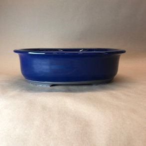 Bonsai-skl, JAP1-L, glaseret, oval, kongebl