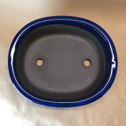 Bonsai-skl, JAP1-L, glaseret, oval, kongebl