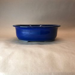 Bonsai-skl, JAP1-M, glaseret, oval, kongebl