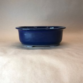 Bonsai-skl, JAP1-S, glaseret, oval, kongebl