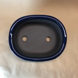 Bonsai-skl, JAP1-S, glaseret, oval, kongebl