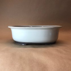 Bonsai-skl, JAP2-M, glaseret, oval, cremehvid