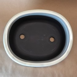 Bonsai-skl, JAP2-M, glaseret, oval, cremehvid