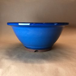 Bonsai-skl, JAP201, rund, kant, hj, glaseret kongebl 